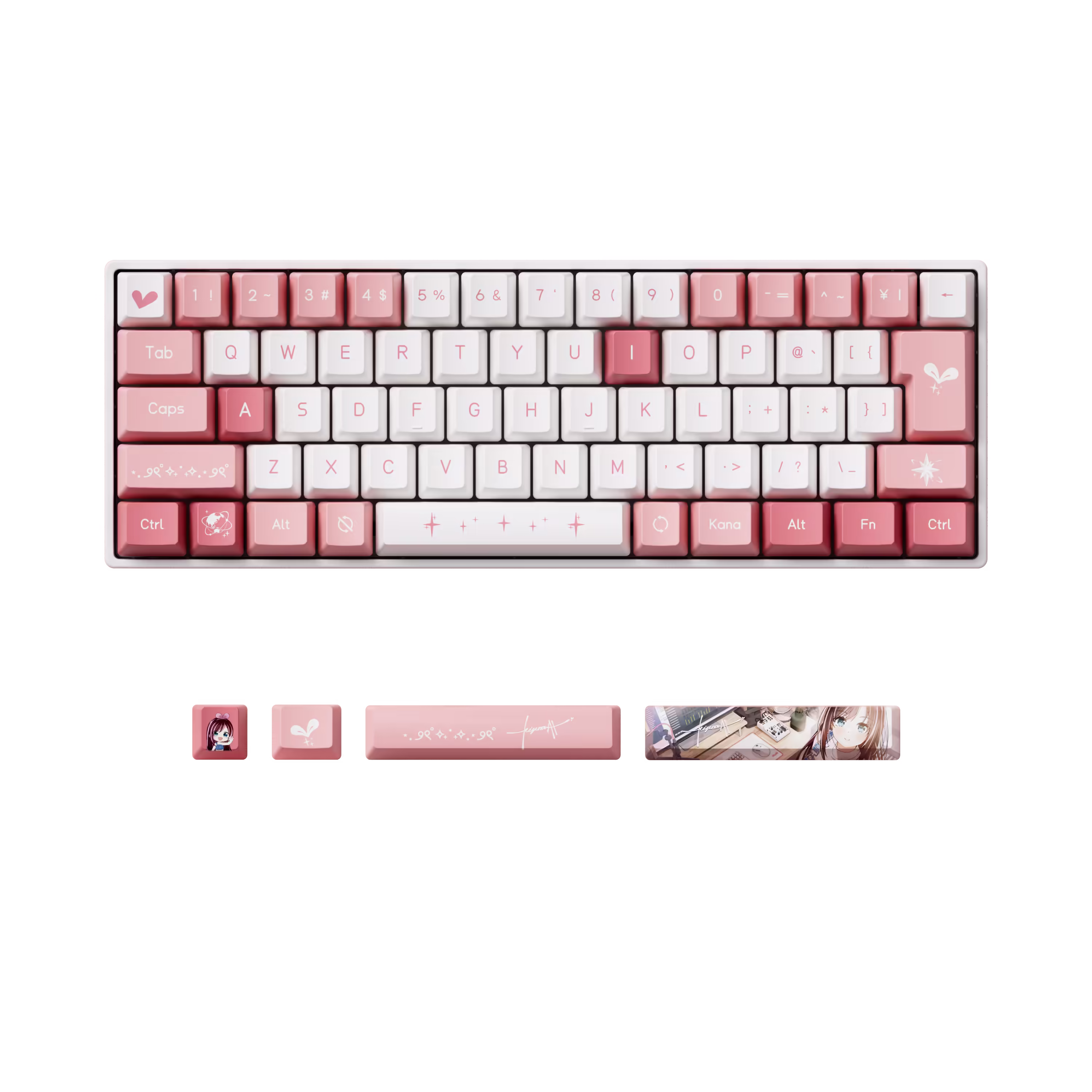 FUN60 Special Edition